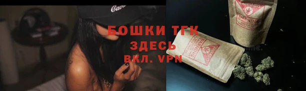 гашик Дмитриев
