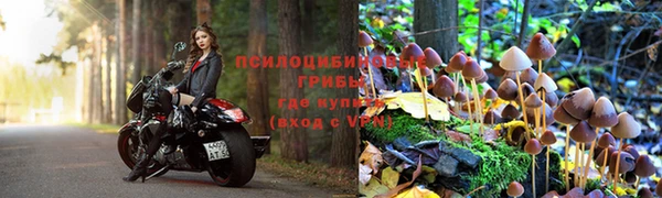 гашик Дмитриев