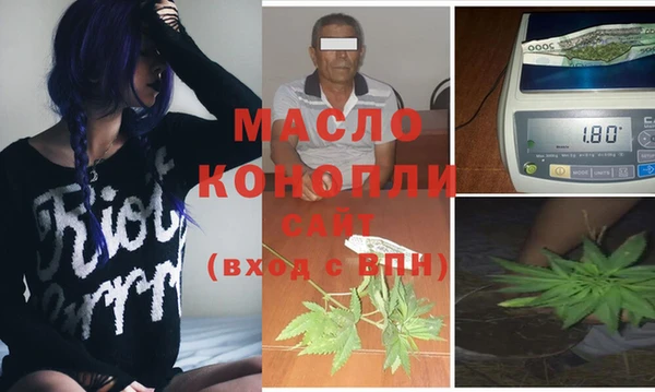 гашик Дмитриев