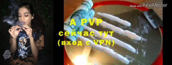 гашик Дмитриев